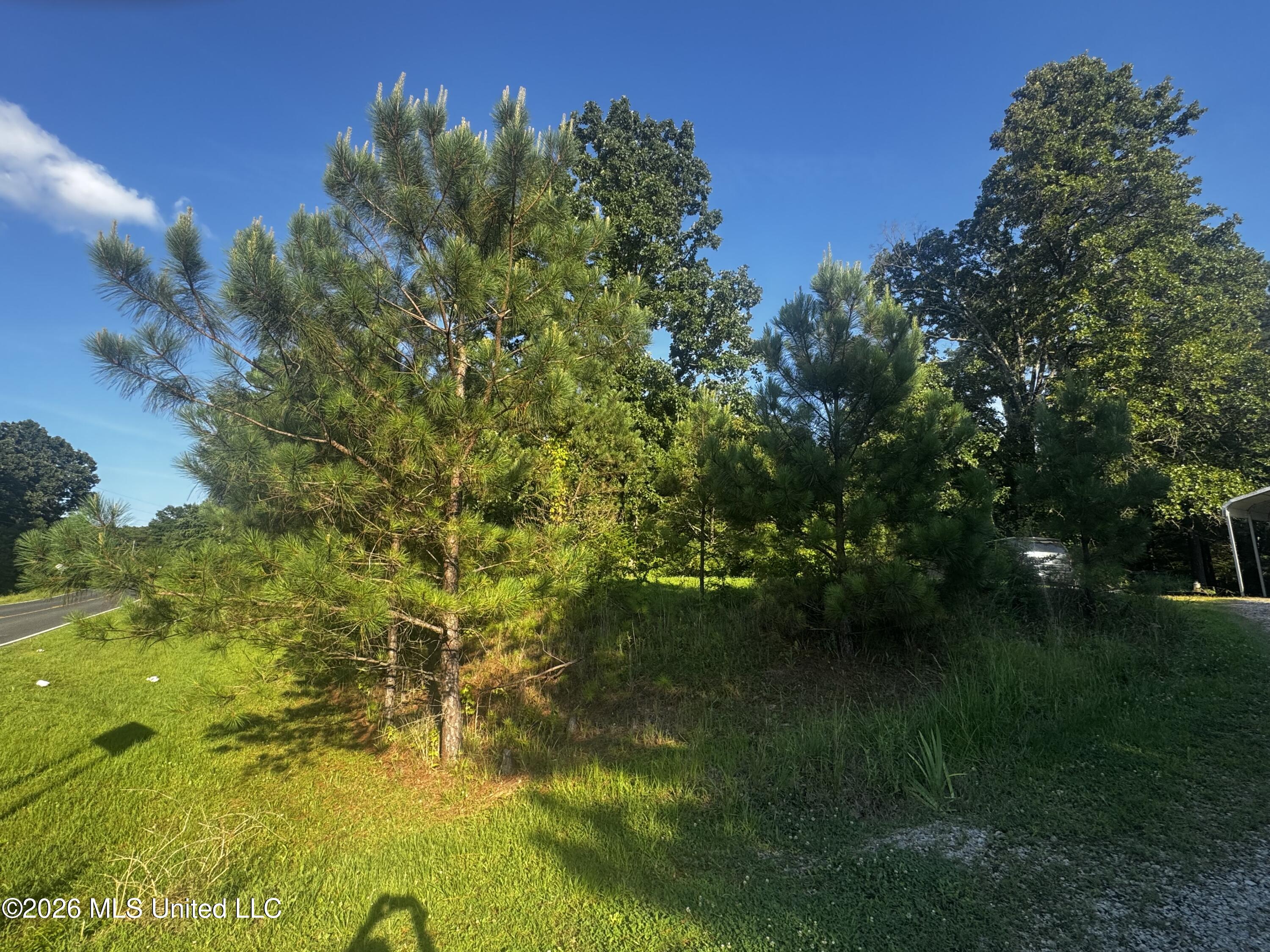 289 St Paul Road Byhalia, MS 38611 - Photo 3 of 18 IMG_5070