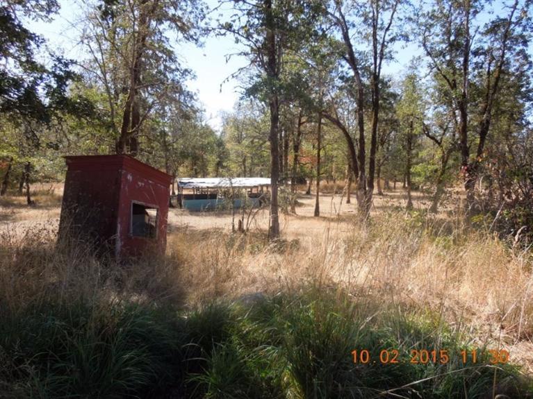 425 Dick George Road Cave Junction, OR 97523 - Photo 11 of 23 Additional Photo