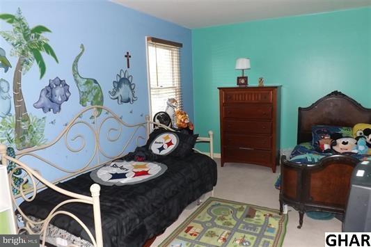 118 Ore Bank Road Dillsburg, PA 17019 - Photo 13 of 19 Gallery Image 13