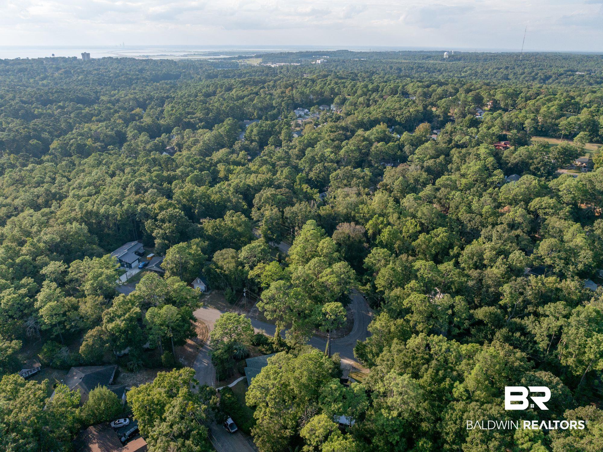 101 Cameron Circle Daphne, AL 36526 - Photo 35 of 39 Bird's eye view