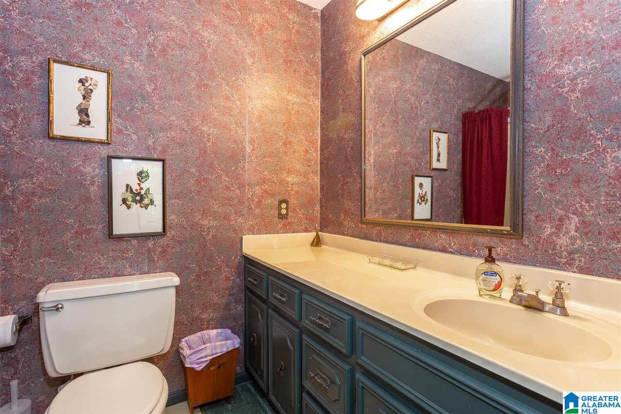 265 Mountain Springs Road Oneonta, AL 35121 - Photo 42 of 50