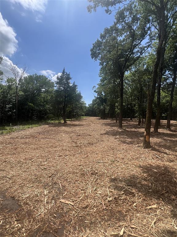 0 County Road Windom, TX 75492 - Photo 2 of 9 a backyard of a house with lots of green space