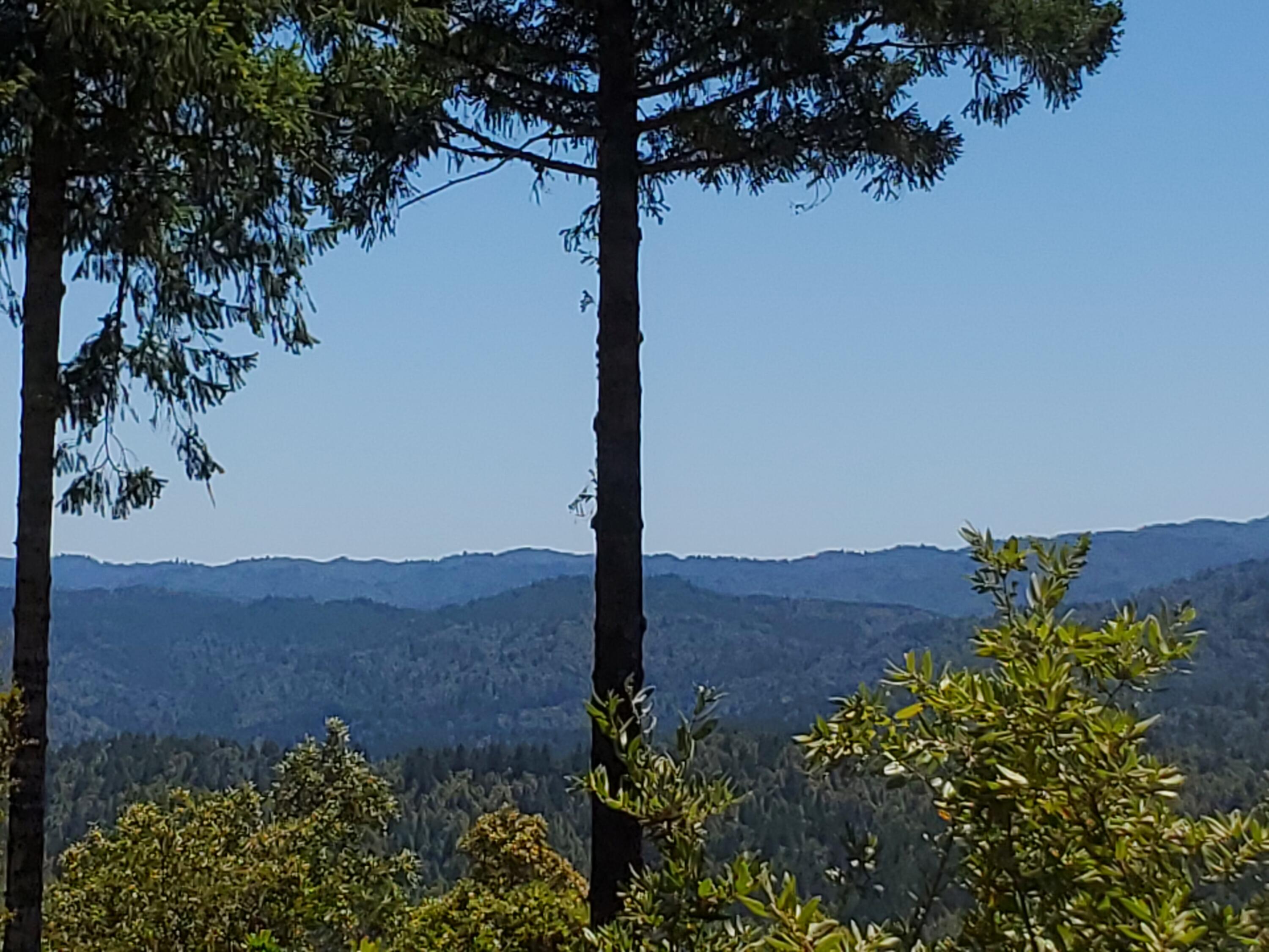 4751 Blue Slide Creek Road Garberville, CA 95542 - Photo 14 of 27