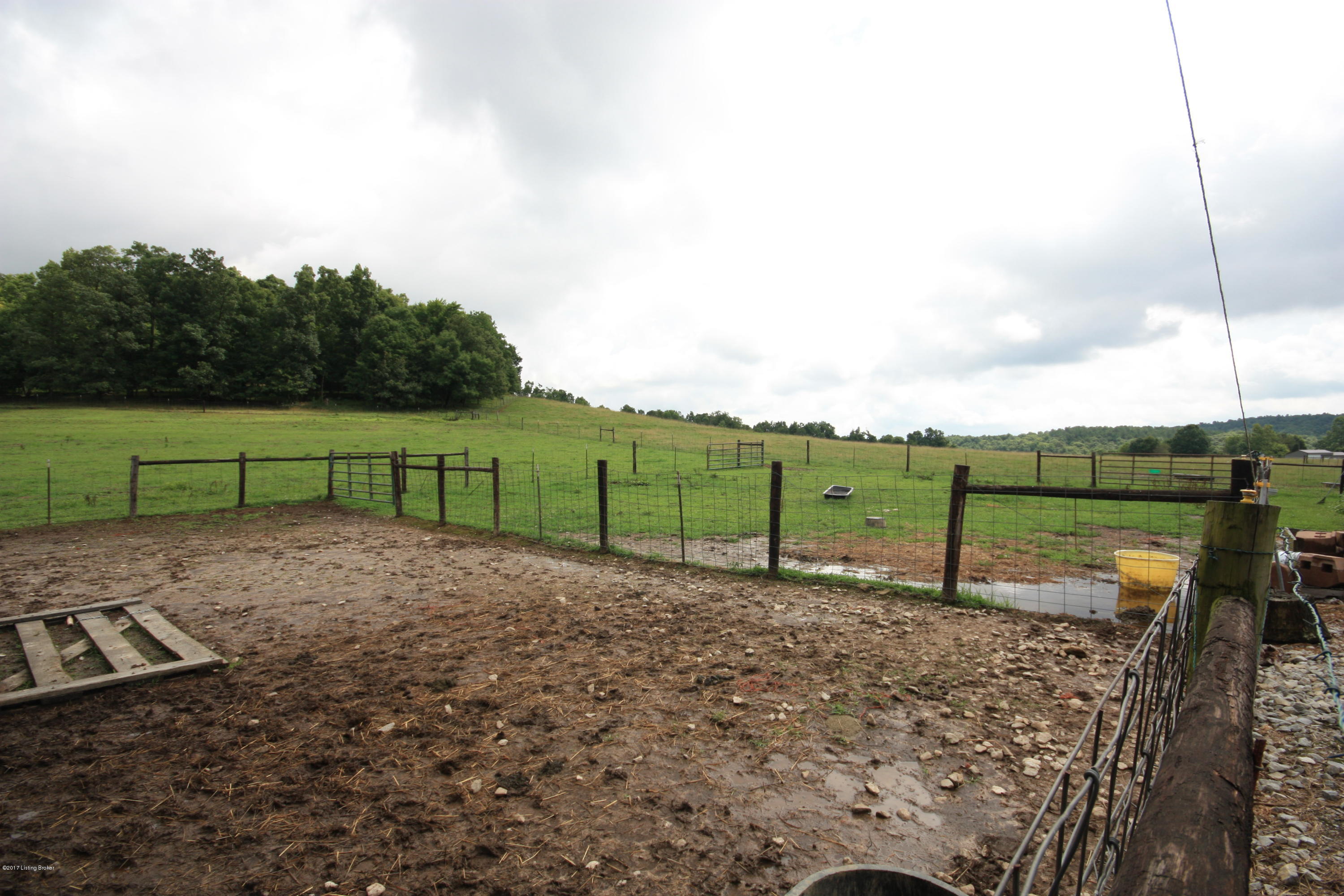 2207 Rabbit Flat Road Caneyville, KY 42721 - Photo 24 of 34 IMG_9943