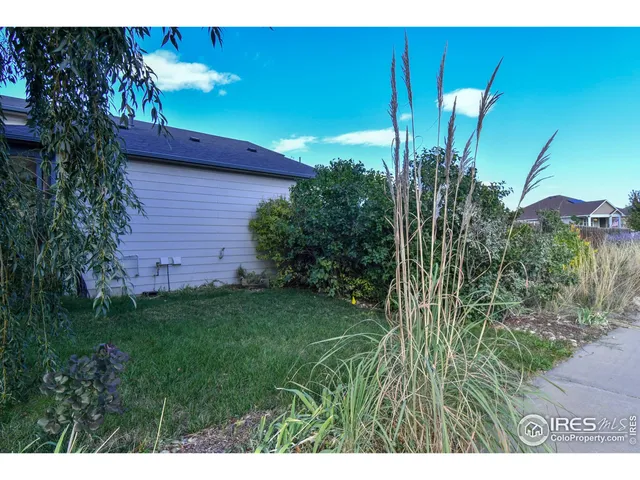 a view of a backyard with plants