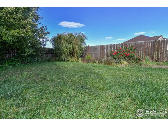 a view of a backyard