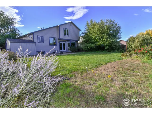 a view of a yard in front of a house with a large tree