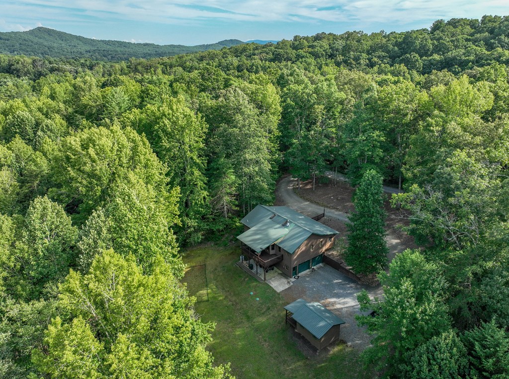 95 Poplar Spring Lane Murphy, NC 28906 - Photo 13 of 95