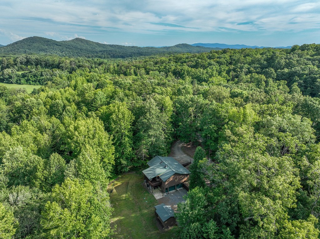 95 Poplar Spring Lane Murphy, NC 28906 - Photo 14 of 95