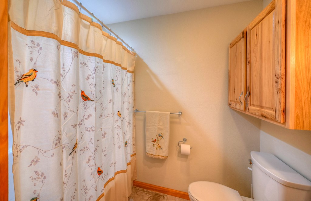 95 Poplar Spring Lane Murphy, NC 28906 - Photo 45 of 95