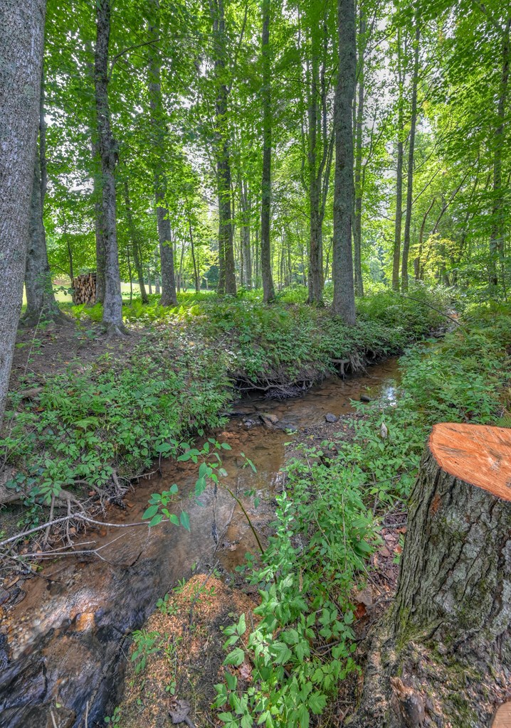 95 Poplar Spring Lane Murphy, NC 28906 - Photo 79 of 95