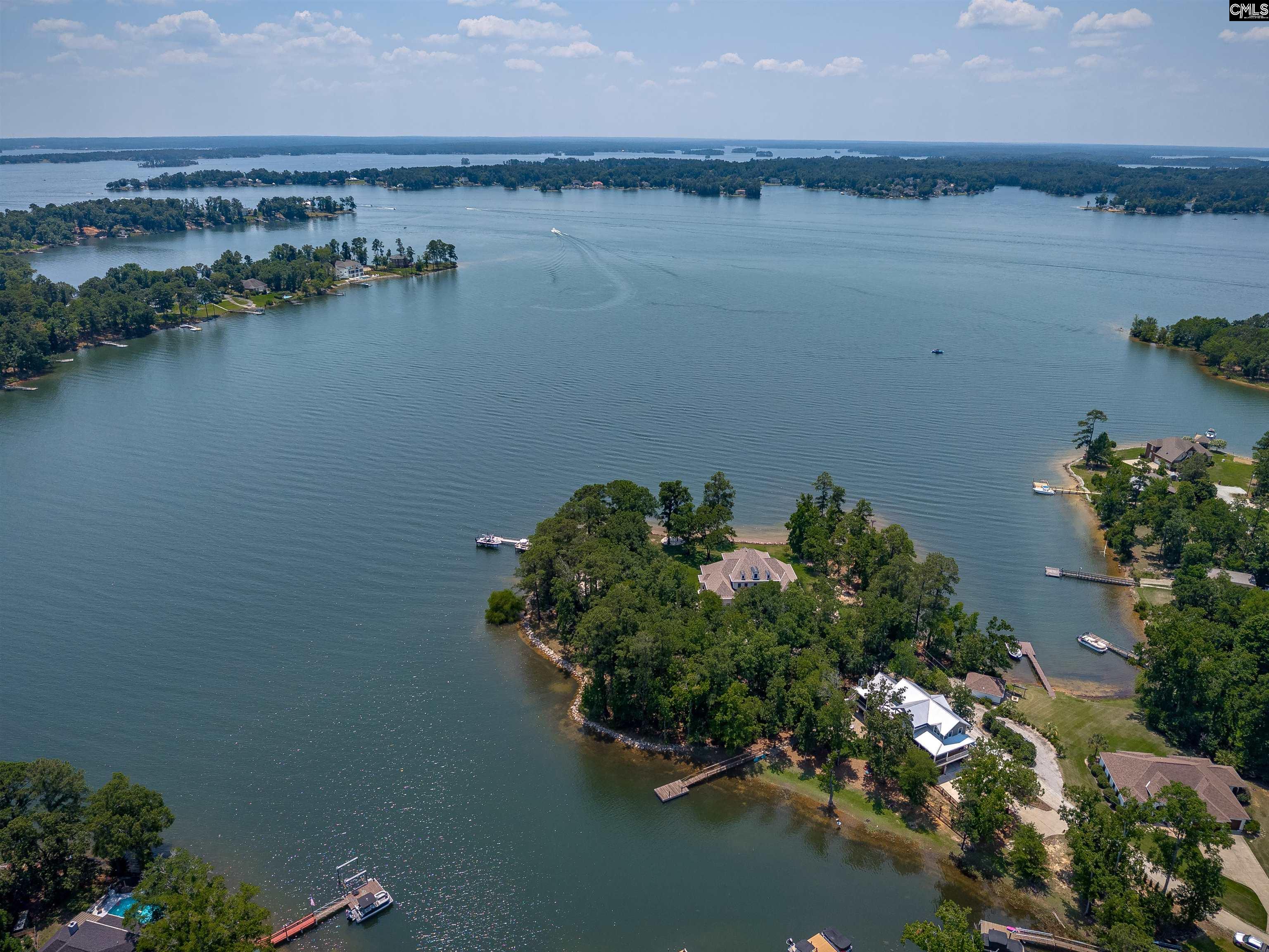 331 3 Point Road Chapin, SC 29036 - Photo 61 of 89