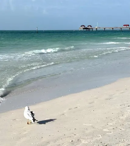 $479,900 | 1505 Laura Street, Clearwater, FL 33755