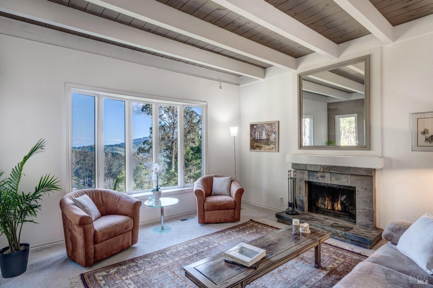 1019 Erica Road Mill Valley, CA 94941 - Photo 1 of 1 a living room with furniture and a fireplace