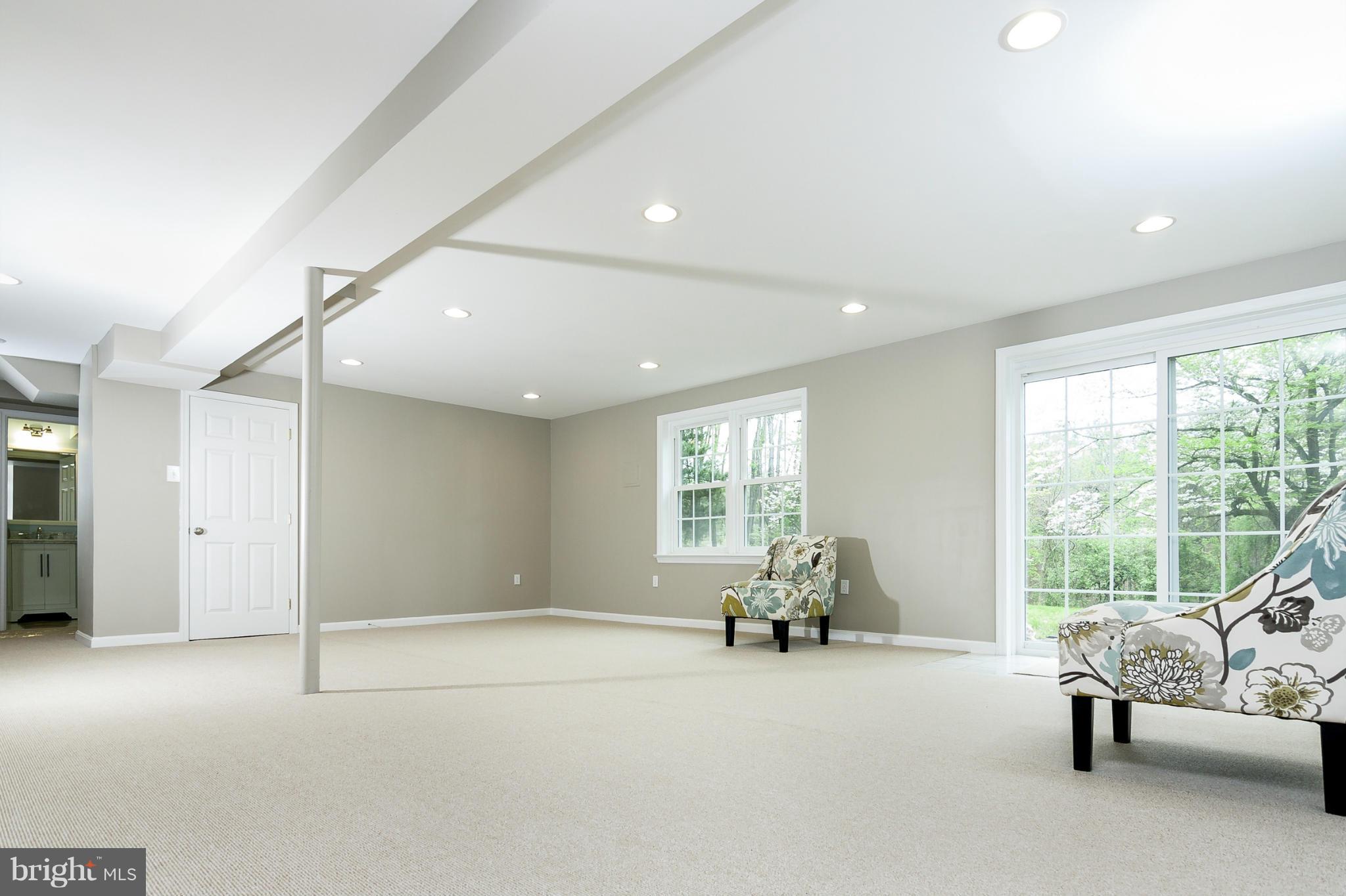 324 Old Stone Road Silver Spring, MD 20904 - Photo 14 of 19 daylight, walk out rec room
