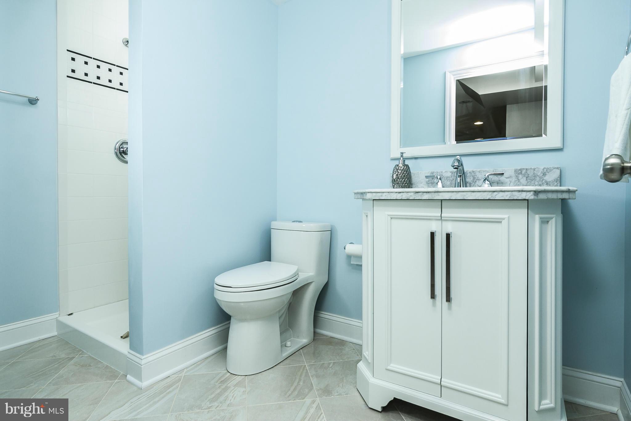 324 Old Stone Road Silver Spring, MD 20904 - Photo 15 of 19 lower level, full bath