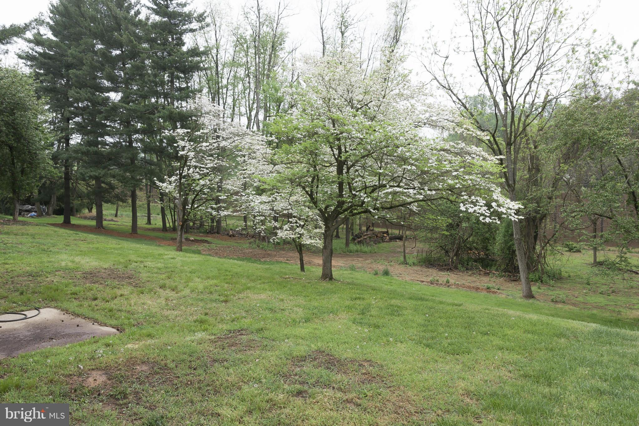 324 Old Stone Road Silver Spring, MD 20904 - Photo 18 of 19 Exterior (Rear)