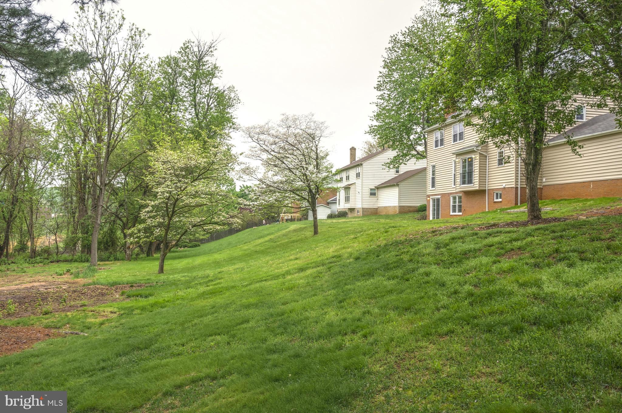 324 Old Stone Road Silver Spring, MD 20904 - Photo 19 of 19 view from back of rear yard