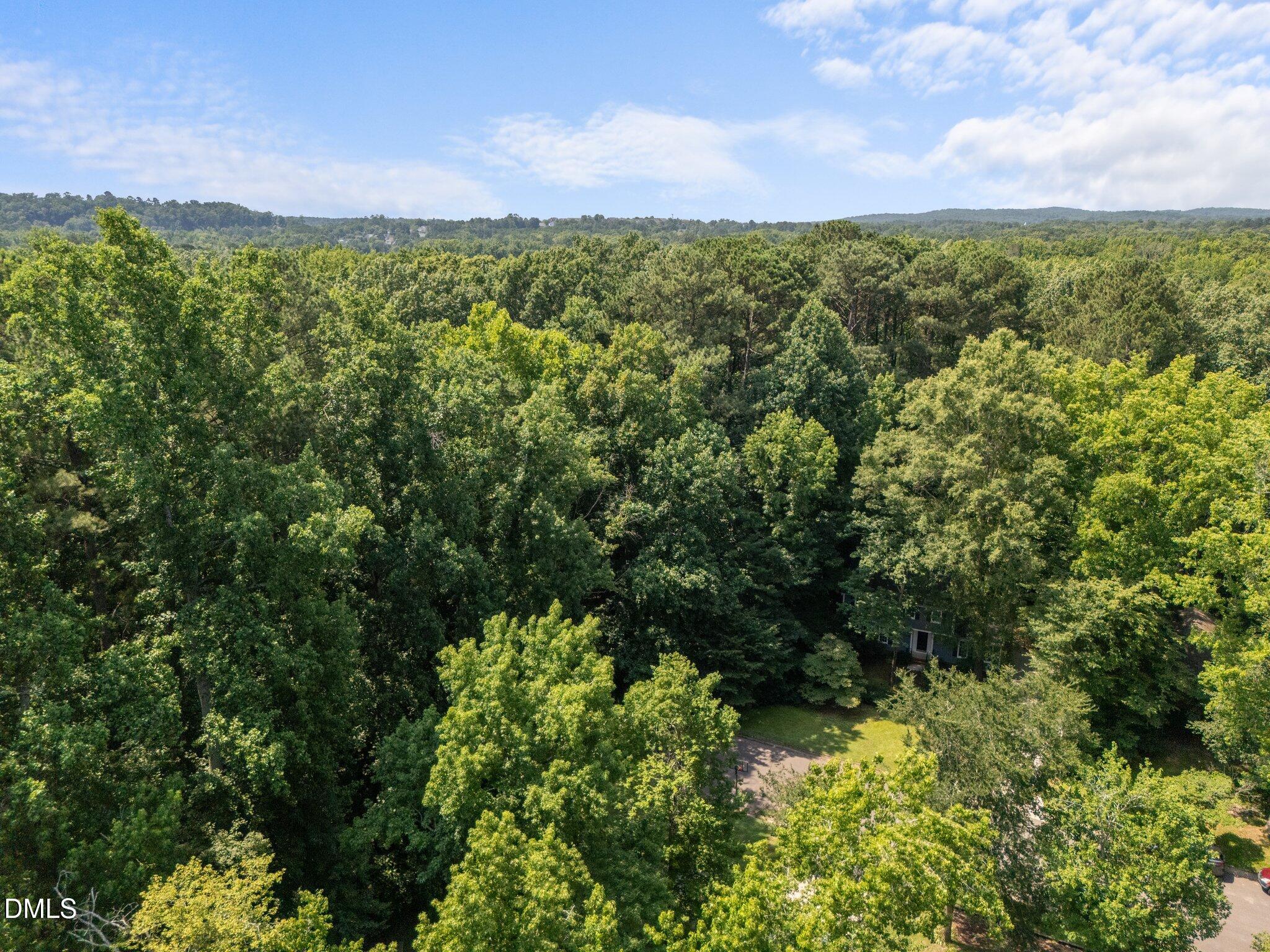 1408 Brigham Road Chapel Hill, NC 27517 - Photo 23 of 33
