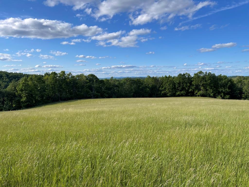 Tbd Frog Spur Road, Unit 3B 3C Fancy Gap, VA 24328 - Photo 1 of 13 Gallery Image 1