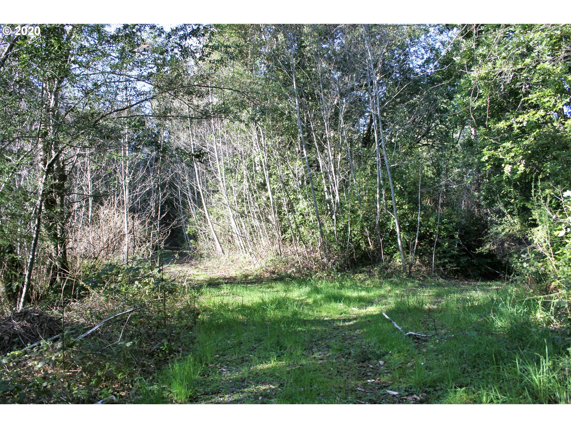 95379 Mountain Road Gold Beach, OR 97444 - Photo 2 of 30 Gallery Image 2