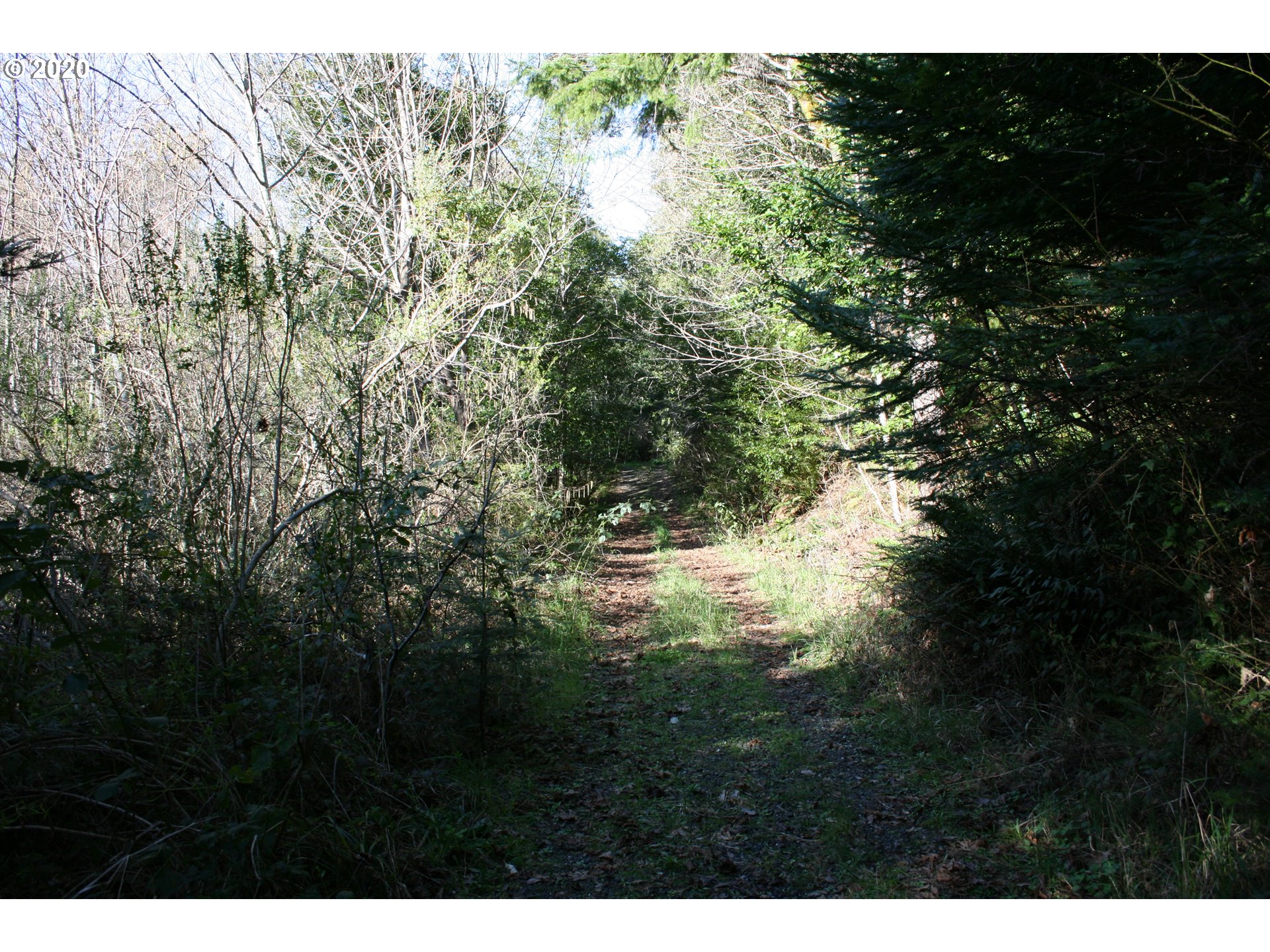 95379 Mountain Road Gold Beach, OR 97444 - Photo 11 of 30 Gallery Image 11