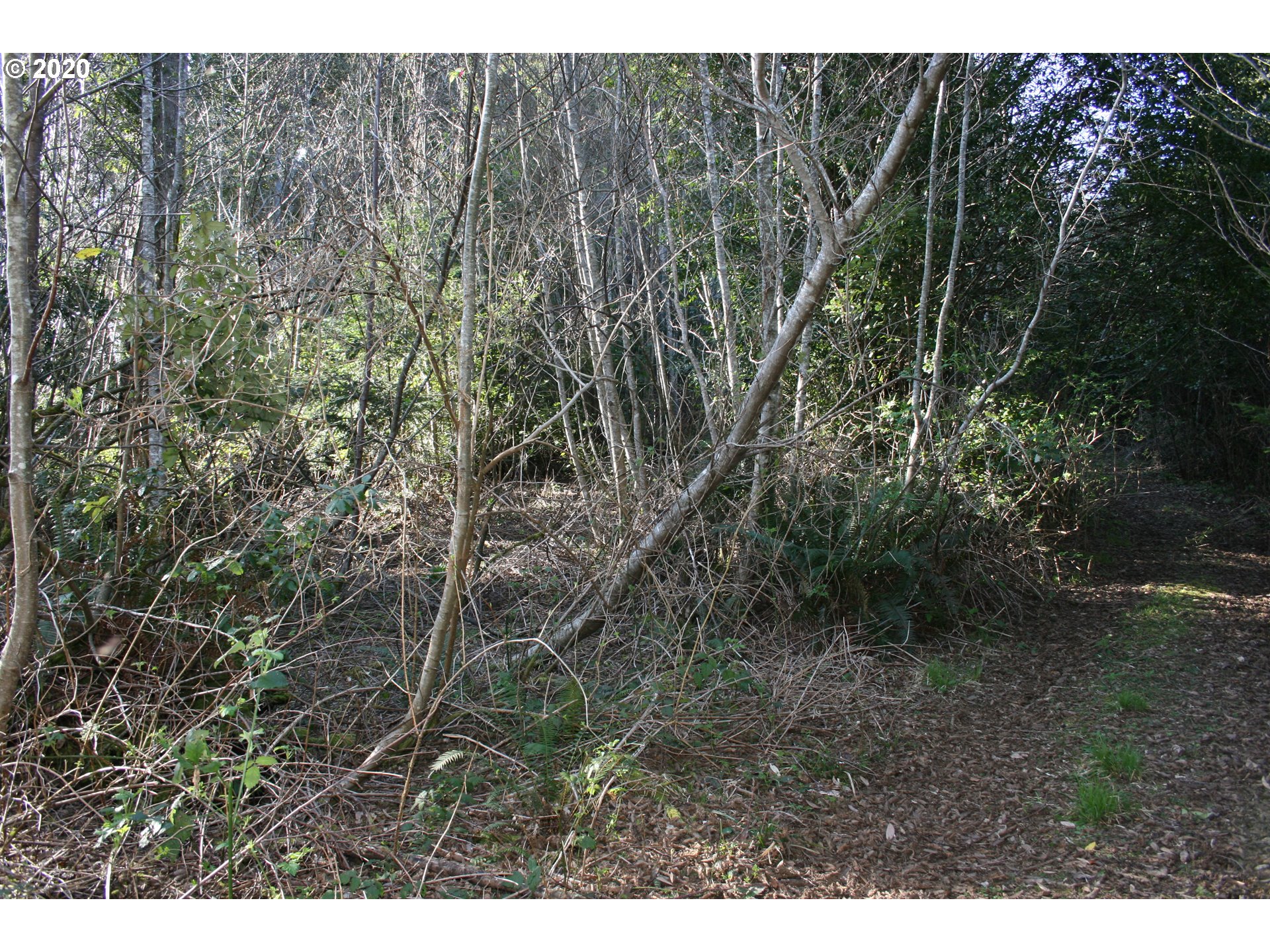 95379 Mountain Road Gold Beach, OR 97444 - Photo 12 of 30 Gallery Image 12