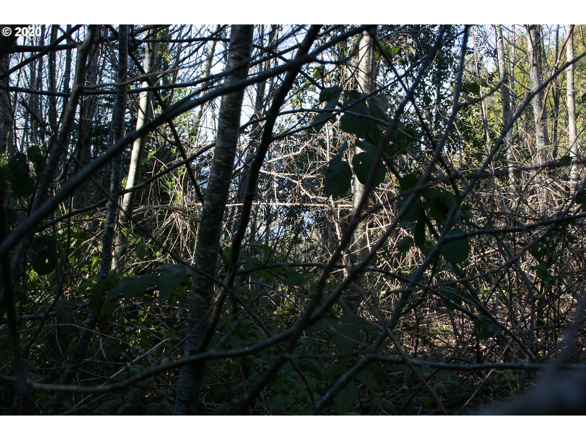 95379 Mountain Road Gold Beach, OR 97444 - Photo 14 of 30 Gallery Image 14