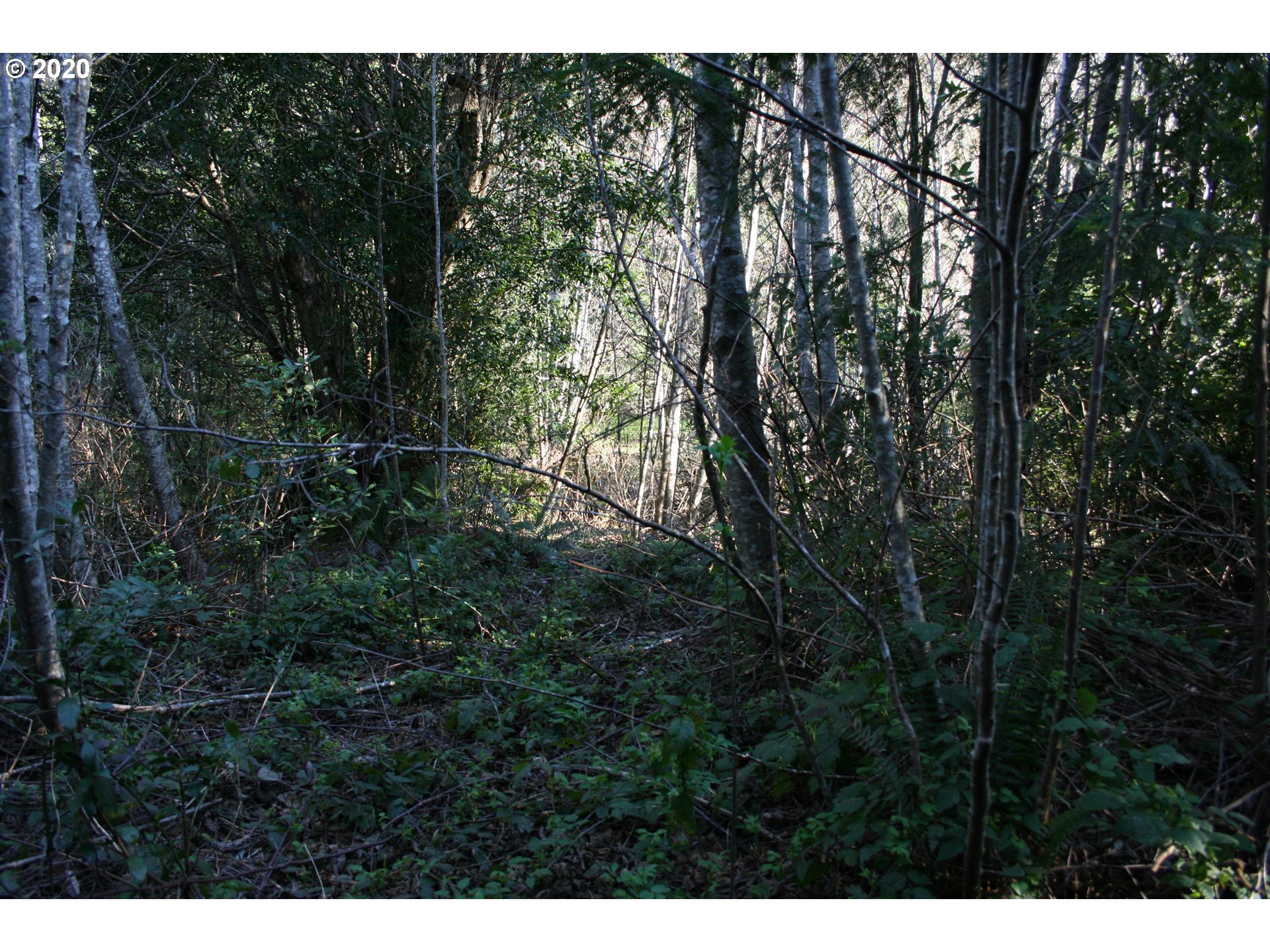 95379 Mountain Road Gold Beach, OR 97444 - Photo 19 of 30 Gallery Image 19
