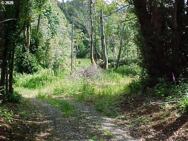 95379 Mountain Road Gold Beach, OR 97444 - Photo 3 of 30 Gallery Image 3