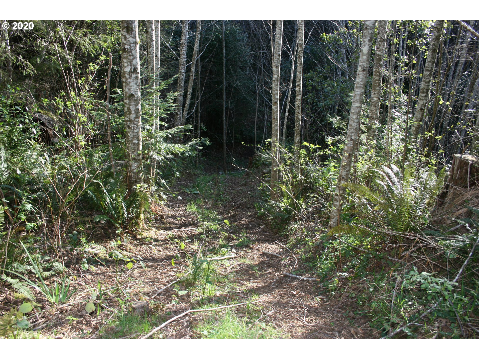 95379 Mountain Road Gold Beach, OR 97444 - Photo 24 of 30 Gallery Image 24
