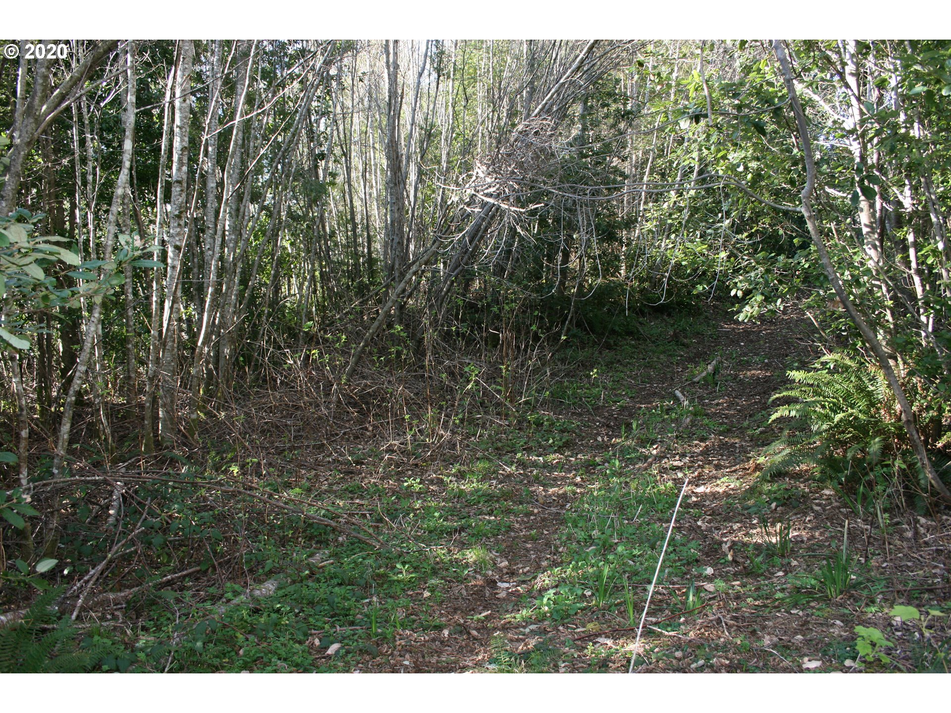 95379 Mountain Road Gold Beach, OR 97444 - Photo 25 of 30 Gallery Image 25