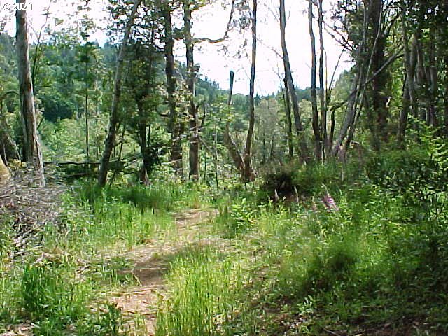 95379 Mountain Road Gold Beach, OR 97444 - Photo 28 of 30 Gallery Image 28