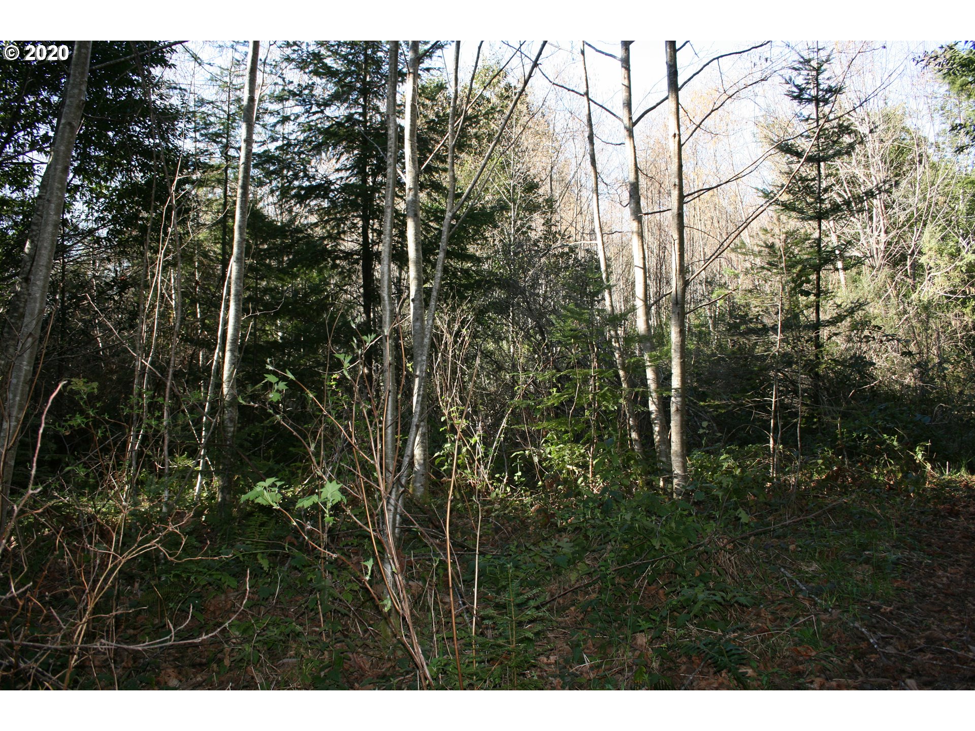 95379 Mountain Road Gold Beach, OR 97444 - Photo 10 of 30 Gallery Image 10