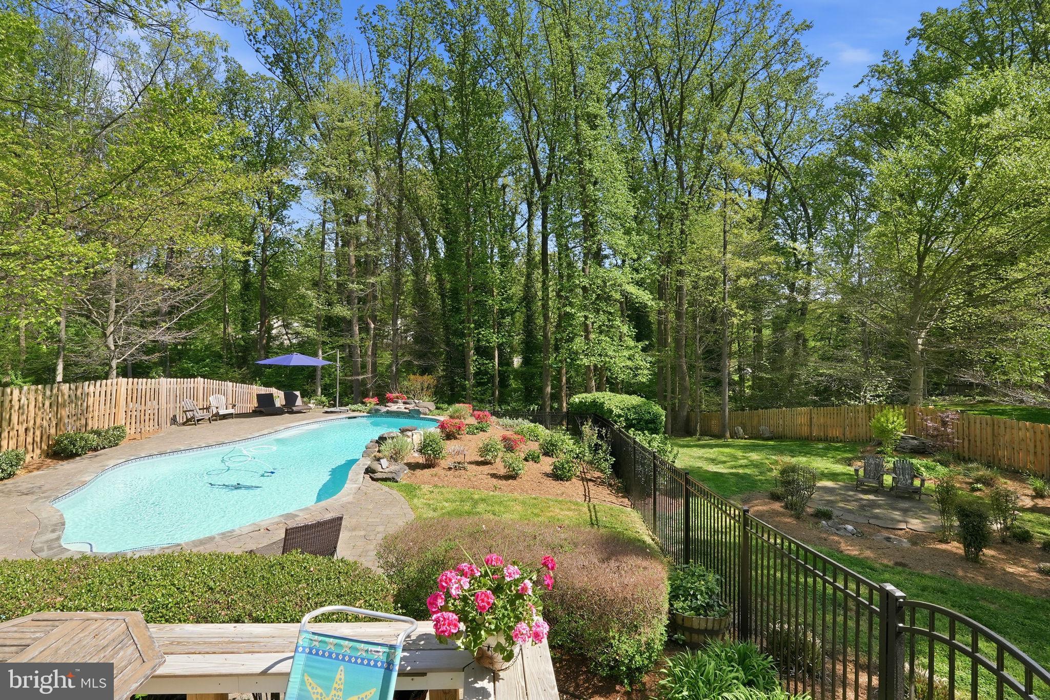 1567 Comanche Road Arnold, MD 21012 - Photo 42 of 67 Serene backyard oasis with pool.