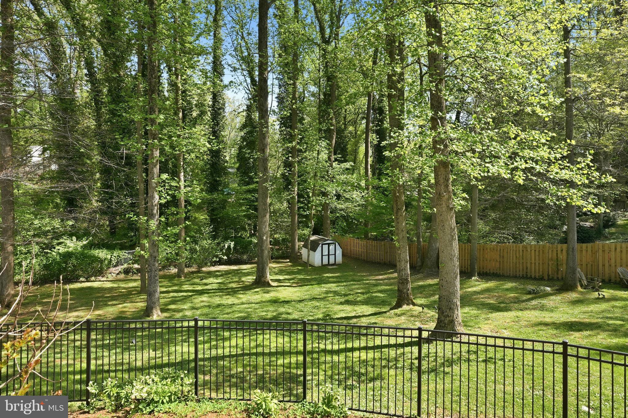 1567 Comanche Road Arnold, MD 21012 - Photo 44 of 67 Serene backyard oasis with lush trees.