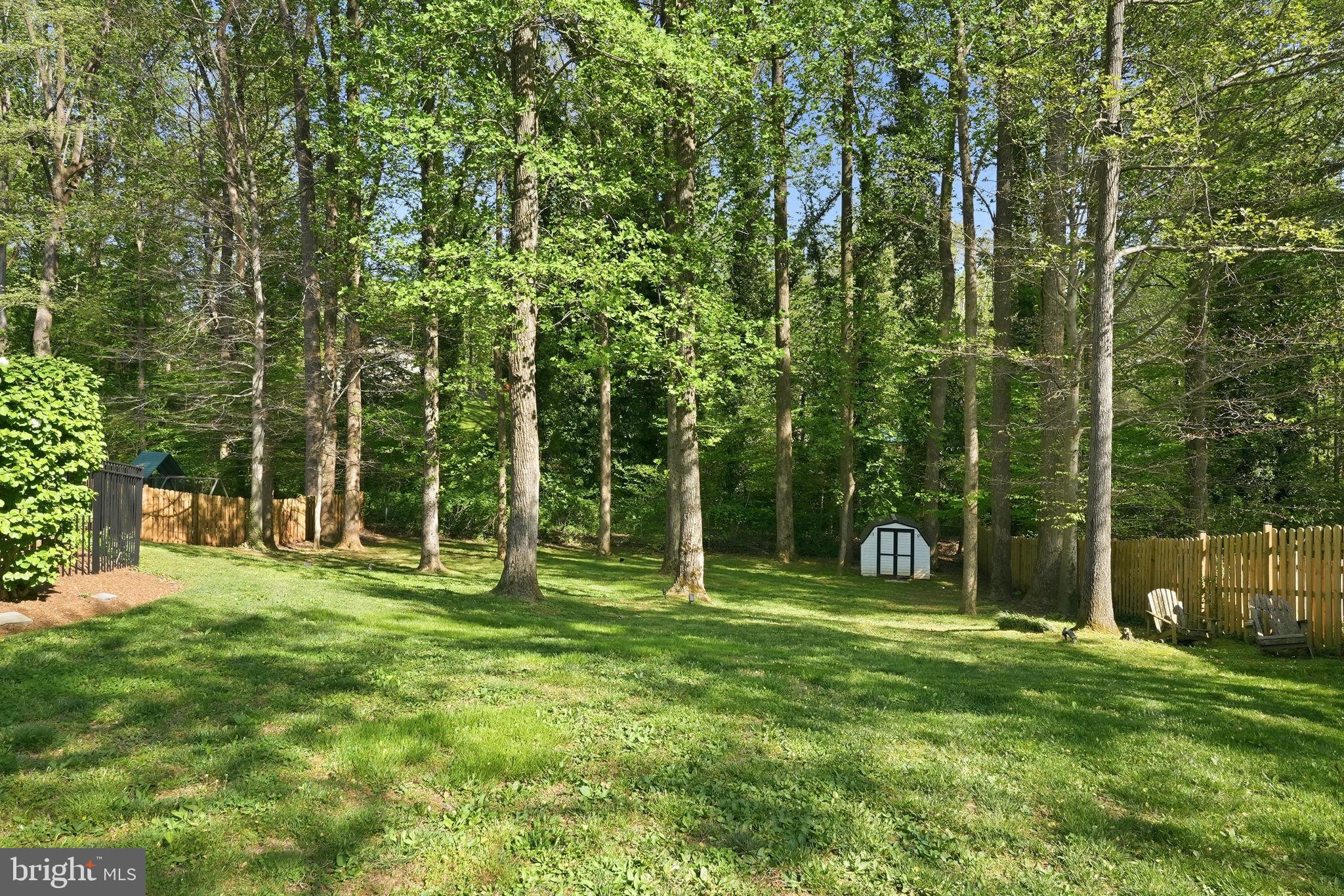 1567 Comanche Road Arnold, MD 21012 - Photo 47 of 67 Serene wooded retreat awaits you.