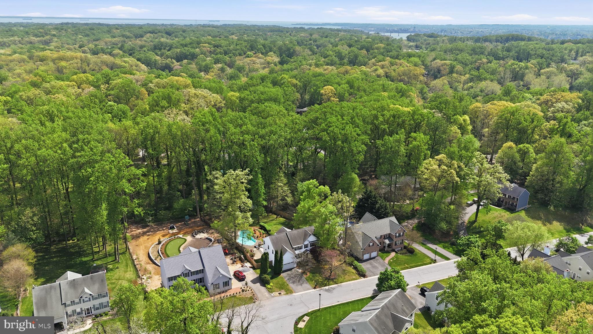 1567 Comanche Road Arnold, MD 21012 - Photo 50 of 67 Lush greenery surrounds serene homes.