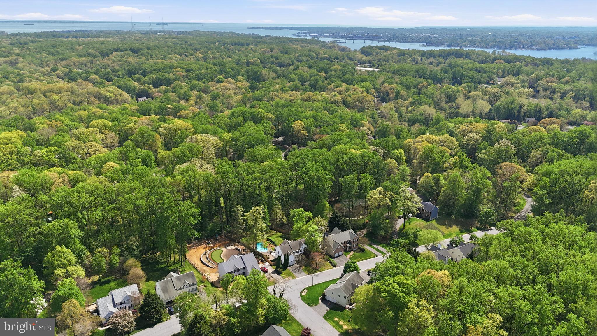 1567 Comanche Road Arnold, MD 21012 - Photo 52 of 67 Lush greenery surrounds serene homes.