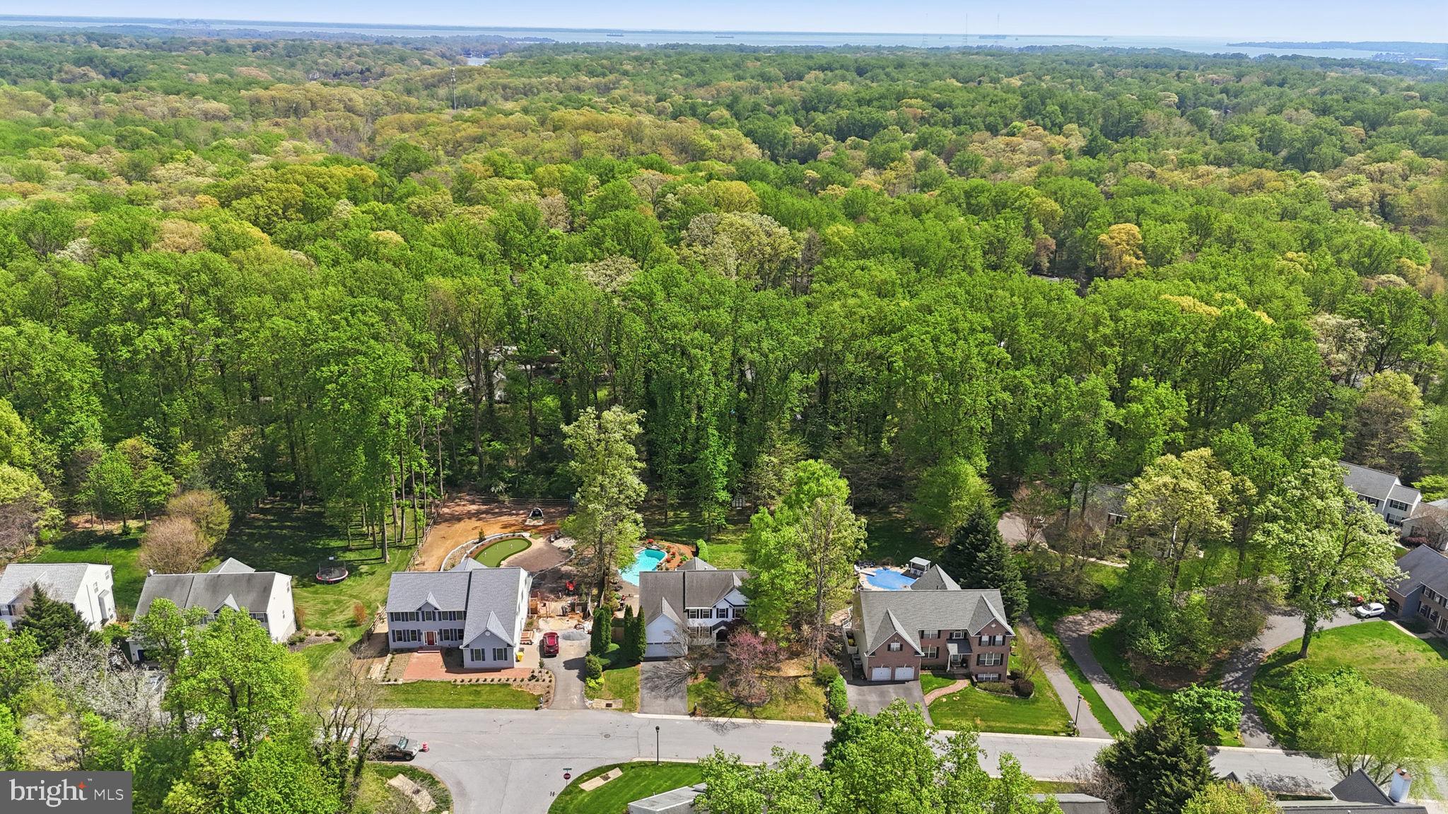 1567 Comanche Road Arnold, MD 21012 - Photo 54 of 67 Serene suburban oasis among trees.