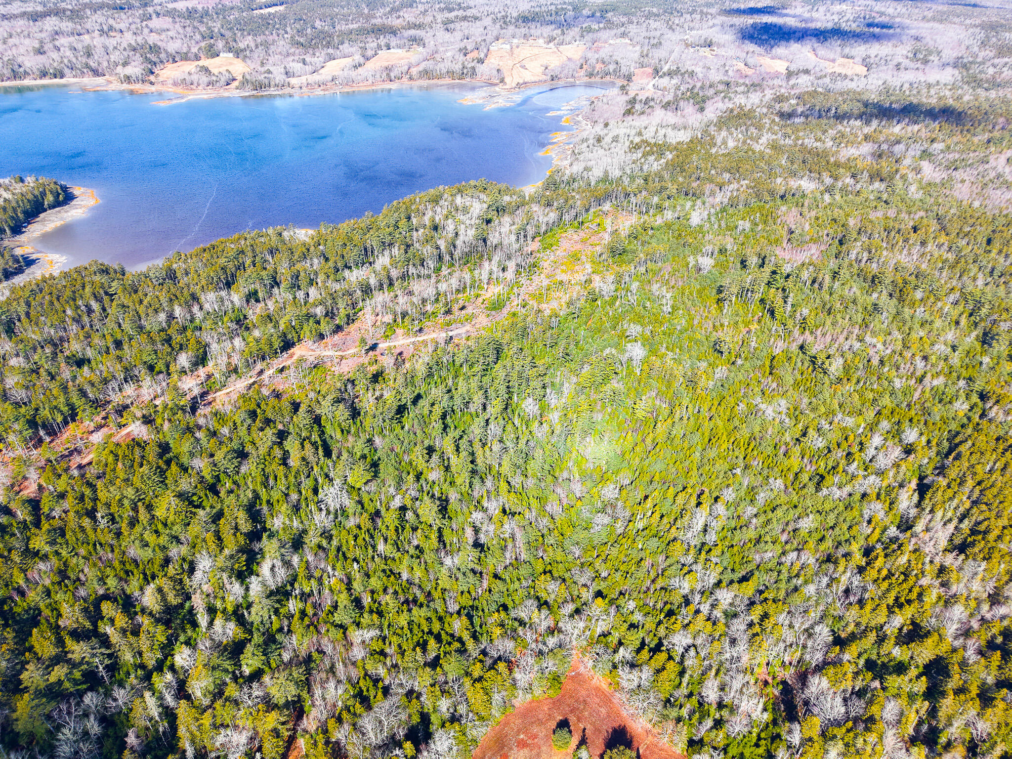 961 Newbury Neck Road Surry, ME 04684 - Photo 3 of 6 961 Newbury Neck