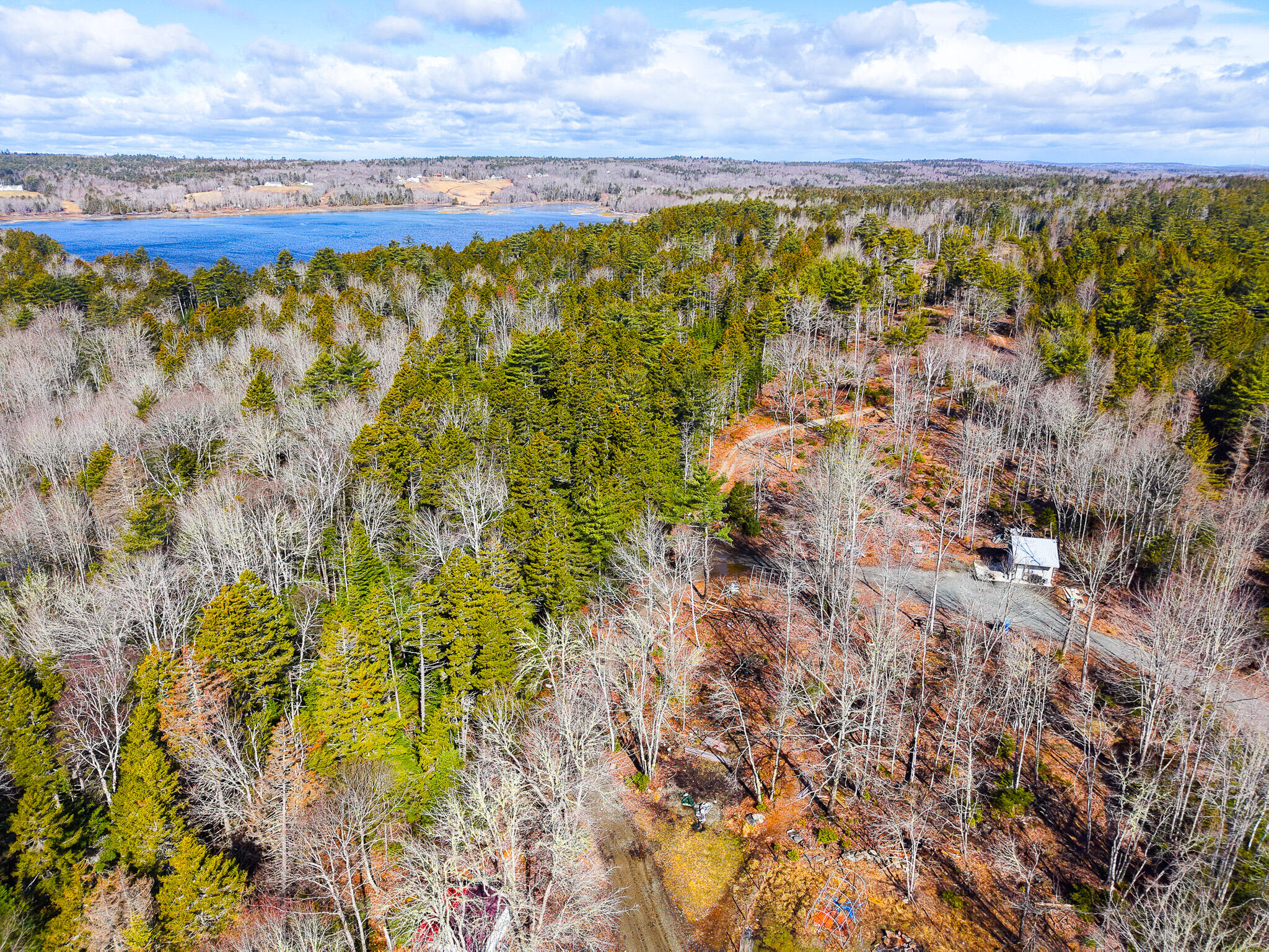 961 Newbury Neck Road Surry, ME 04684 - Photo 6 of 6 961 Newbury Neck