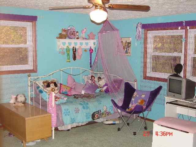6931 Locust Road Delavan, IL 61734 - Photo 4 of 9