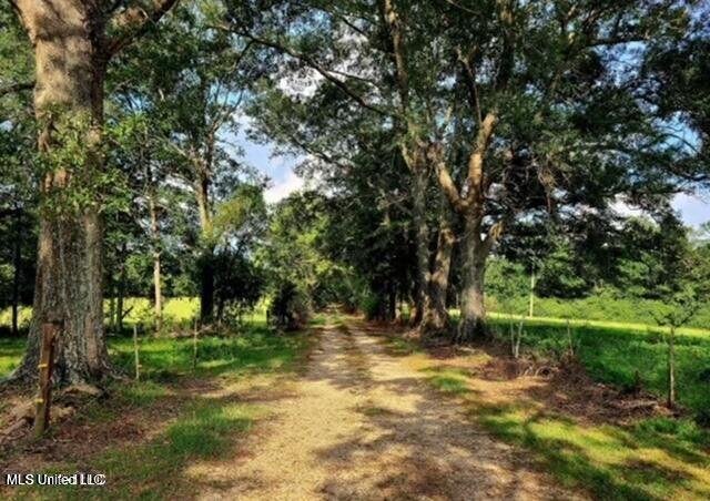 809 Osborn Moody Road Poplarville, MS 39470 - Photo 13 of 33 IMG_0088