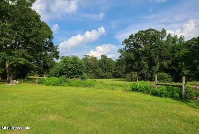 809 Osborn Moody Road Poplarville, MS 39470 - Photo 14 of 33 IMG_0089