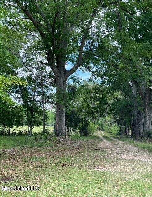 809 Osborn Moody Road Poplarville, MS 39470 - Photo 16 of 33 IMG_0093