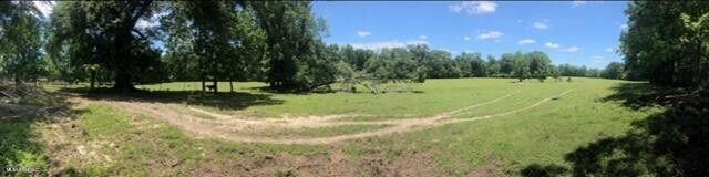 809 Osborn Moody Road Poplarville, MS 39470 - Photo 17 of 33 IMG_0094