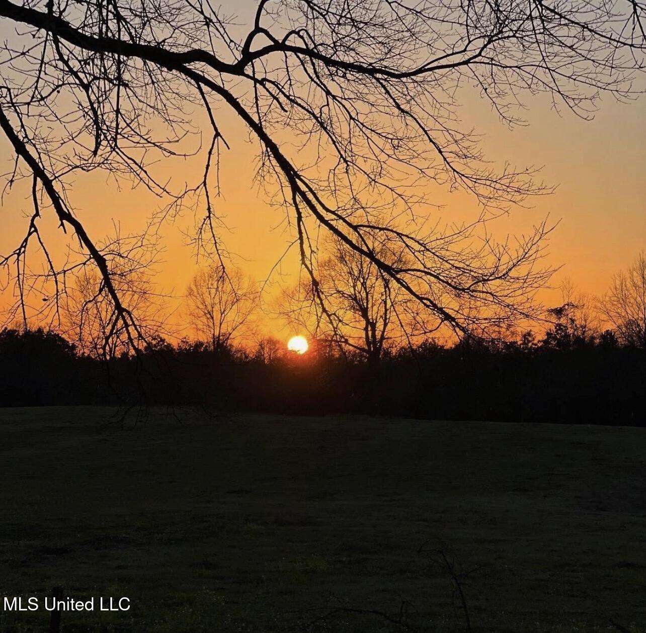 809 Osborn Moody Road Poplarville, MS 39470 - Photo 18 of 33 IMG_4970