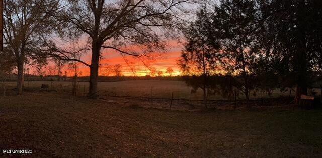 809 Osborn Moody Road Poplarville, MS 39470 - Photo 19 of 33 IMG_0095