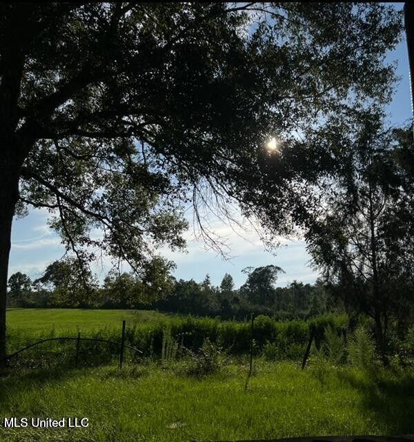 809 Osborn Moody Road Poplarville, MS 39470 - Photo 20 of 33 IMG_0096